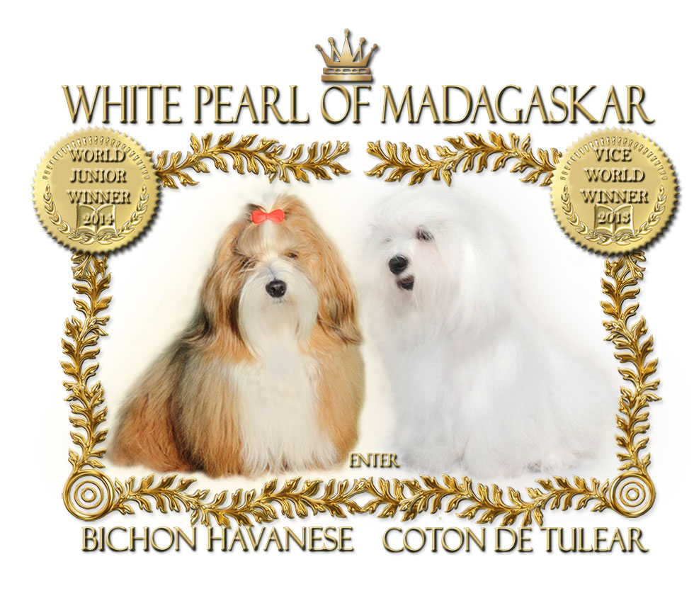 White Pearl of Madagaskar